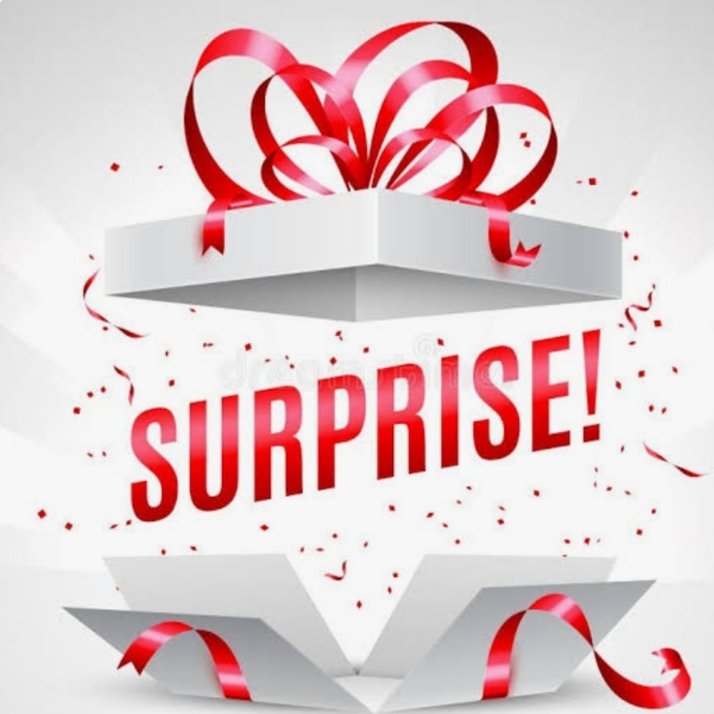 Surprise Sweater Bundles